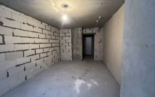 студия в Ленинградская область по адресу: Шоссе в Лаврики ул., 95