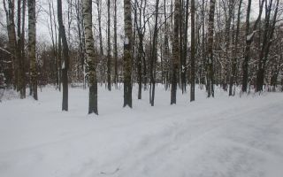 двухкомнатная квартира в Санкт-Петербург по адресу: Софьи Ковалевской ул., 11, к 6