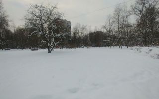 двухкомнатная квартира в Санкт-Петербург по адресу: Софьи Ковалевской ул., 11, к 6