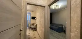 однокомнатная квартира в Санкт-Петербурге по адресу: Вишерская ул., 2