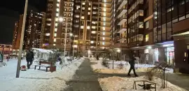 однокомнатная квартира в Санкт-Петербурге по адресу: Вишерская ул., 2