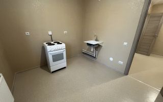 однокомнатная квартира в Санкт-Петербург по адресу: Ленинский проспект, 68