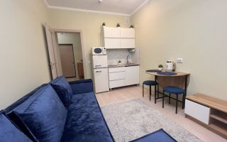 однокомнатная квартира в Ленинградская область по адресу: Центральная ул., 30, к 2