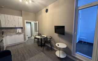 однокомнатная квартира в Санкт-Петербург по адресу: Колпинское ш., 123