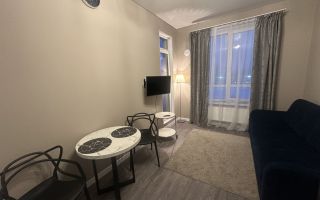 однокомнатная квартира в Санкт-Петербург по адресу: Колпинское ш., 123