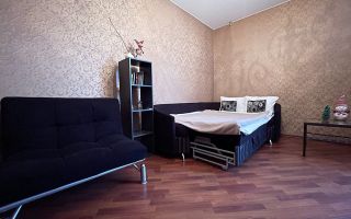 однокомнатная квартира в Санкт-Петербург по адресу: Новочеркасский проспект, 41/14