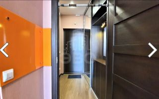 студия в Ленинградской области по адресу: Шувалова ул., 23