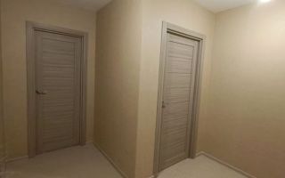 однокомнатная квартира в Санкт-Петербурге по адресу: Ленинский проспект, 68