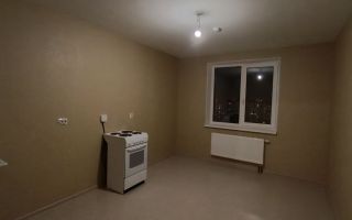 однокомнатная квартира в Санкт-Петербурге по адресу: Ленинский проспект, 68