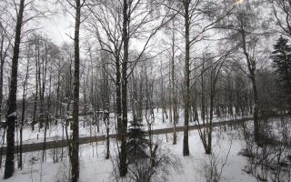 однокомнатная квартира в Санкт-Петербурге по адресу: Приозерское ш., 9