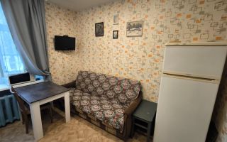 однокомнатная квартира в Санкт-Петербурге по адресу: Приозерское ш., 9