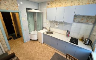 однокомнатная квартира в Санкт-Петербурге по адресу: Приозерское ш., 9