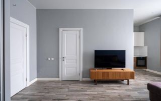 однокомнатная квартира в Санкт-Петербурге по адресу: Свердловская наб., 58