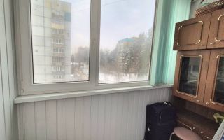 двухкомнатная квартира в Ленинградской области по адресу: Центральная ул., 1, к 1