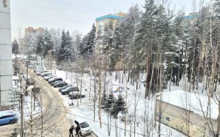 двухкомнатная квартира в Ленинградской области по адресу: Центральная ул., 1, к 1