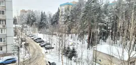 двухкомнатная квартира в Ленинградской области по адресу: Центральная ул., 1, к 1