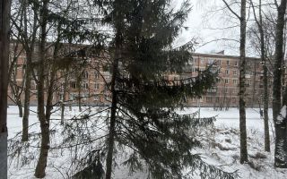 двухкомнатная квартира в Санкт-Петербурге по адресу: Гражданский проспект, 15, к 2, литера А