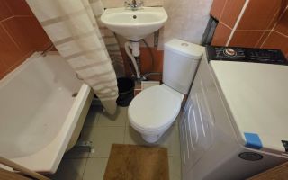 однокомнатная квартира в Санкт-Петербурге по адресу: Плановая ул., 24