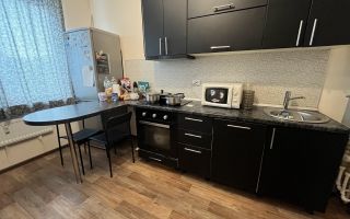 однокомнатная квартира в Санкт-Петербурге по адресу: Корнея Чуковского ул., 7, к 1