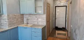 однокомнатная квартира в Санкт-Петербурге по адресу: Заводская ул., 15