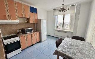 однокомнатная квартира в Санкт-Петербурге по адресу: Сизова проспект, 21, к 2