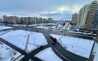 однокомнатная квартира в Санкт-Петербурге по адресу: Ленинский проспект, 68