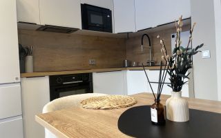 однокомнатная квартира в Санкт-Петербурге по адресу: Пулковское ш., 127, к 1