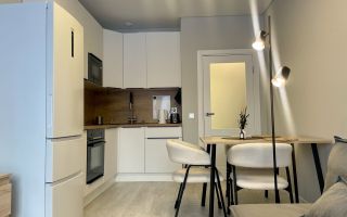 однокомнатная квартира в Санкт-Петербурге по адресу: Пулковское ш., 127, к 1