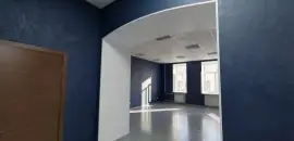многокомнатная квартира в Санкт-Петербурге по адресу: Захарьевская ул., 9