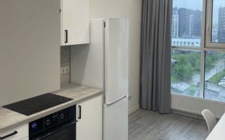 однокомнатная квартира в Санкт-Петербурге по адресу: Лиговский проспект, 271