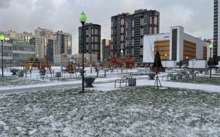 однокомнатная квартира в Санкт-Петербурге по адресу: Ленинский проспект, 68