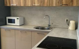 однокомнатная квартира в Санкт-Петербурге по адресу: Малая Зеленина ул., 1/22