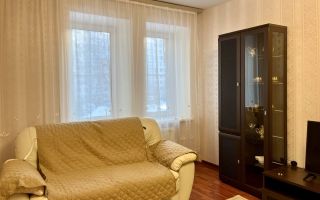 однокомнатная квартира в Ленинградской области по адресу: Межевая ул., 21