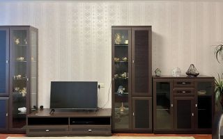 однокомнатная квартира в Ленинградской области по адресу: Межевая ул., 21