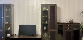 однокомнатная квартира в Ленинградской области по адресу: Межевая ул., 21