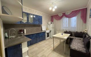 однокомнатная квартира в Санкт-Петербурге по адресу: Коллонтай ул., 15, к 2