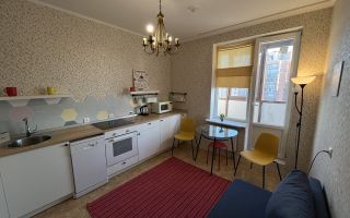 однокомнатная квартира в Санкт-Петербурге по адресу: Комендантский проспект, 53, к 3