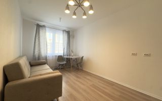 однокомнатная квартира в Санкт-Петербурге по адресу: Пахомовская ул., 14, к 2, строение 1