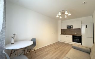 однокомнатная квартира в Санкт-Петербурге по адресу: Пахомовская ул., 14, к 2, строение 1