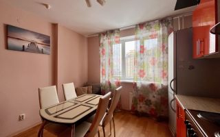 однокомнатная квартира в Санкт-Петербурге по адресу: Фёдора Абрамова ул., 23, к 1