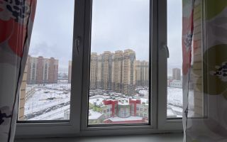 однокомнатная квартира в Санкт-Петербурге по адресу: Фёдора Абрамова ул., 23, к 1