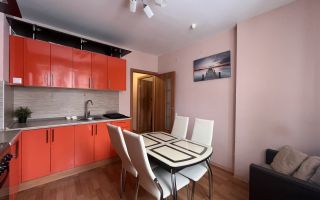 однокомнатная квартира в Санкт-Петербурге по адресу: Фёдора Абрамова ул., 23, к 1