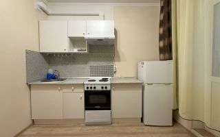 однокомнатная квартира в Ленинградской области по адресу: Шувалова ул., 19, к 2