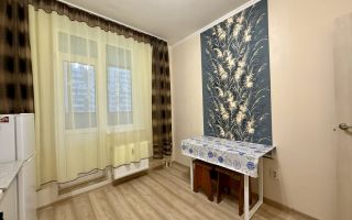 однокомнатная квартира в Ленинградской области по адресу: Шувалова ул., 19, к 2