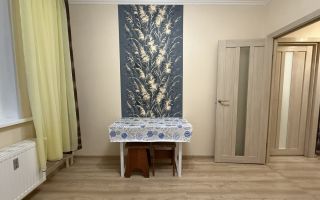 однокомнатная квартира в Ленинградской области по адресу: Шувалова ул., 19, к 2