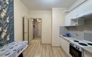 однокомнатная квартира в Ленинградской области по адресу: Шувалова ул., 19, к 2