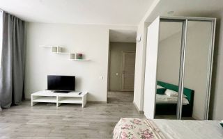 однокомнатная квартира в Санкт-Петербурге по адресу: Витебский проспект, 99, к 1