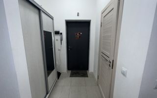 студия в Ленинградской области по адресу: Ручьевский проспект, 15