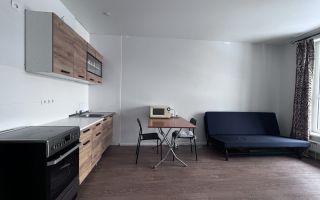 двухкомнатная квартира в Санкт-Петербурге по адресу: Лиговский проспект, 232