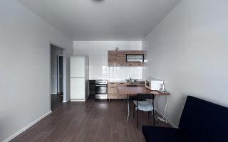 двухкомнатная квартира в Санкт-Петербурге по адресу: Лиговский проспект, 232